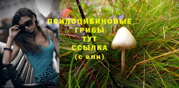 стаф Рославль